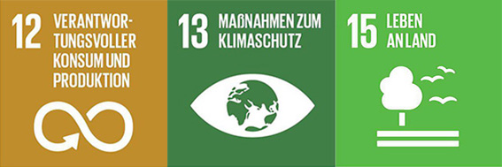 sdg-12-13-15-zusammenfassung-wiedhonig