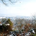 Imkerei-Neuwied-im-Winter