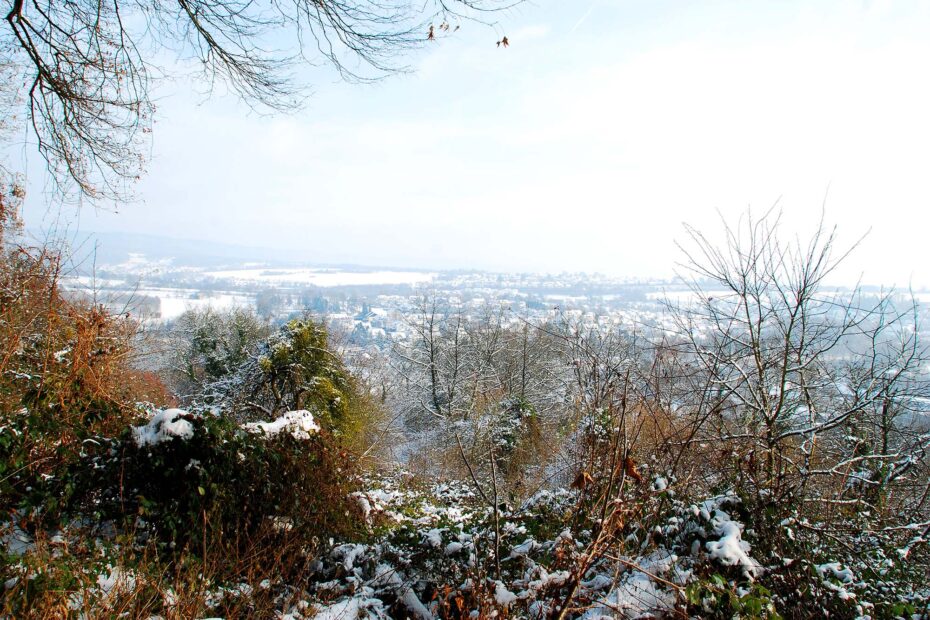 Imkerei-Neuwied-im-Winter