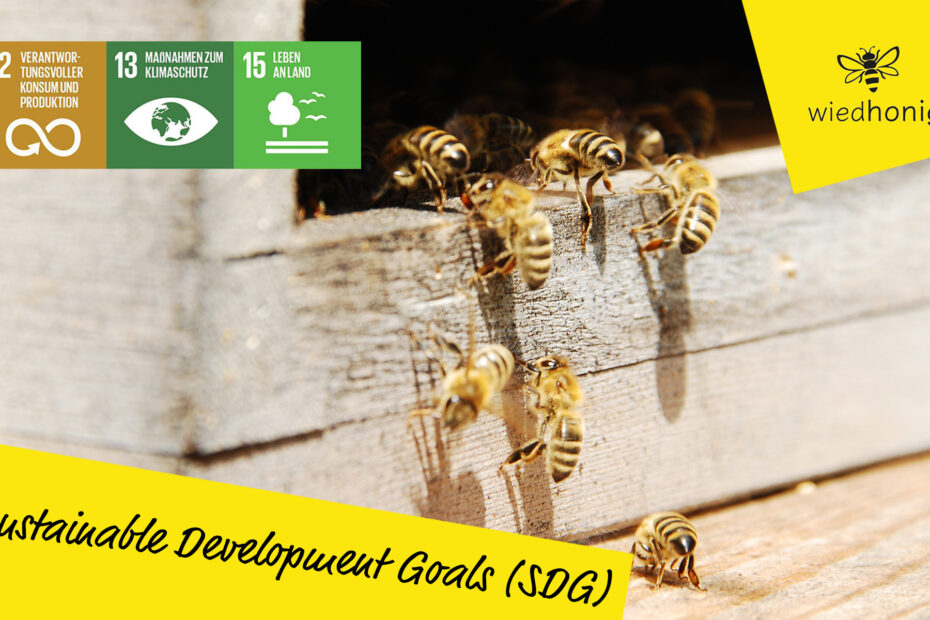 sgd-wiedhonig-mietbienen-blog