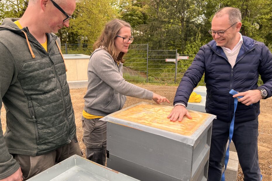 Bienenvölker Bonn Wärme