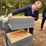 Bienenvölker Bonn Beute
